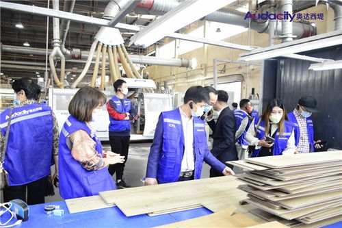 奥达西堤石晶地板招商及培训会盛大启幕 携手共创健康人居新未来